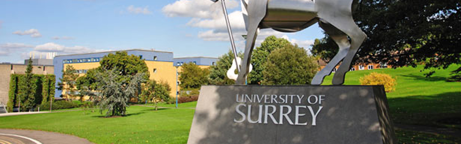 surrey